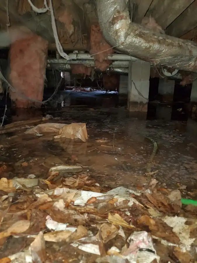 Crawl space flood assessment for Leak Detection & Repair in Pinehurst